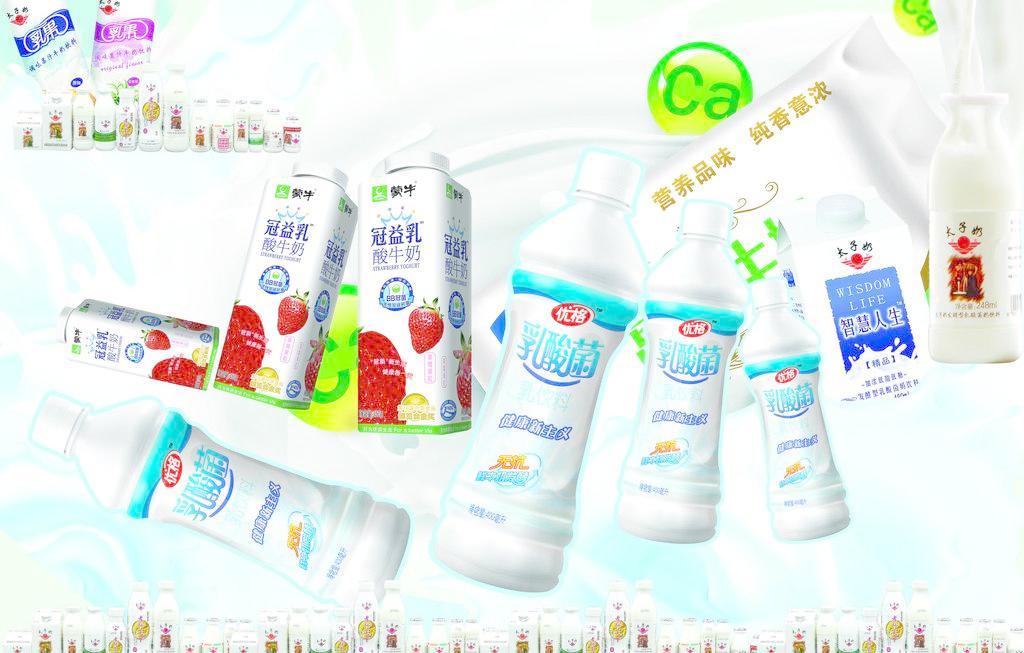 乳酸菌 小小微生物，守護(hù)大健康——日用百貨中的健康衛(wèi)士